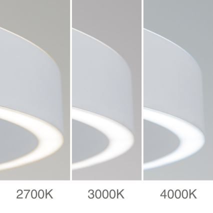 Orion - Stmievateľný LED závesný luster na lane KOLK LED/80W/230V 2700/3000/4000K pr. 80 cm biela