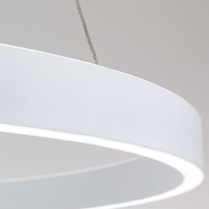 Orion - Stmievateľný LED závesný luster na lane KOLK LED/80W/230V 2700/3000/4000K pr. 80 cm biela