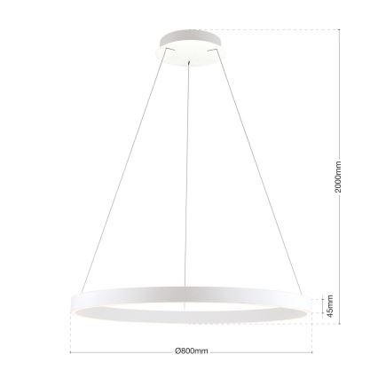 Orion - Stmievateľný LED závesný luster na lane KOLK LED/80W/230V 2700/3000/4000K pr. 80 cm biela
