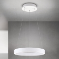 Orion - LED stmievateľný luster na lanku KOLK LED/40W/230V 2700/3000/4000K pr. 40 cm biela