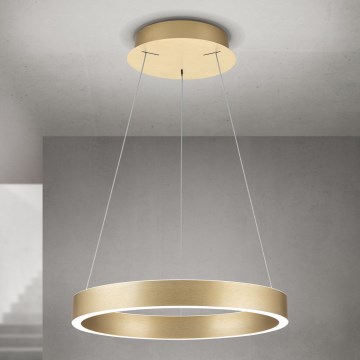 Orion - LED stmievateľný luster na lanku KOLK LED/40W/230V 2700/3000/4000K pr. 40 cm zlatá