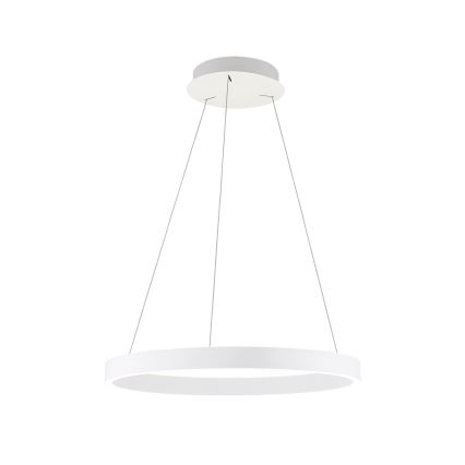 LED Stmievateľný luster na lanku KOLK LED/60W/230V 2700/3000/4000K pr. 60 cm biela