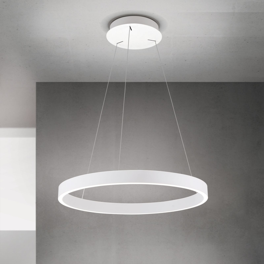 LED Stmievateľný luster na lanku KOLK LED/60W/230V 2700/3000/4000K pr. 60 cm biela