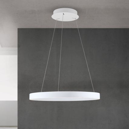 LED Stmievateľný luster na lanku KOLK LED/60W/230V 2700/3000/4000K pr. 60 cm biela