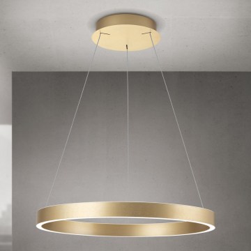Orion - LED stmievateľný luster na lanku KOLK LED/60W/230V 2700/3000/4000K, priemer 60 cm, zlatý