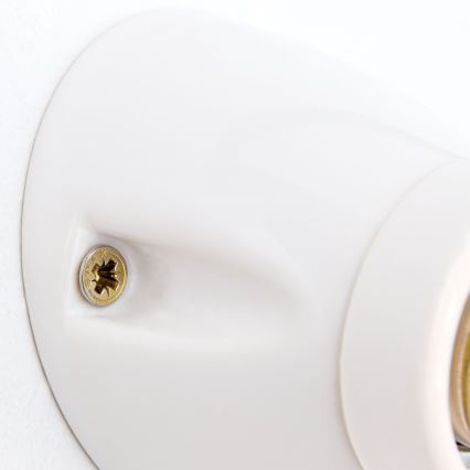 Nástenné svietidlo FROST 1xE27/60W/230V biele