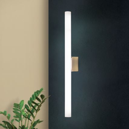 LED Nástenné svietidlo VISAGIST 1xS14d/8W/230V mosadz