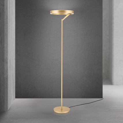 LED Stmievateľná stojacia lampa KOLK LED/40W/230V 2700/4000K zlatá