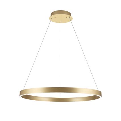 LED Stmievateľný luster na lane KOLK LED/80W/230V 2700/3000/4000K priemer 80 cm zlatá