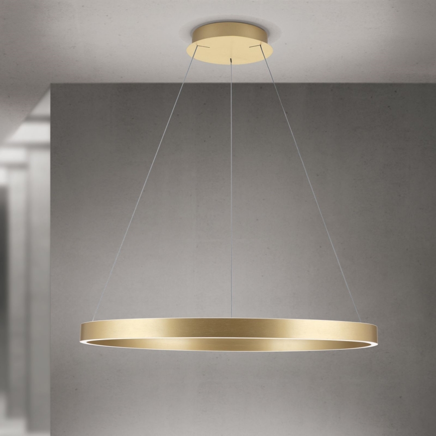 LED Stmievateľný luster na lane KOLK LED/80W/230V 2700/3000/4000K priemer 80 cm zlatá