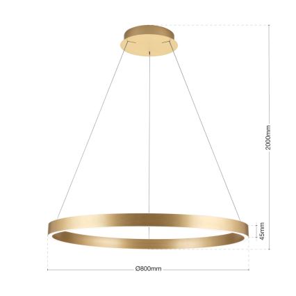 LED Stmievateľný luster na lane KOLK LED/80W/230V 2700/3000/4000K priemer 80 cm zlatá
