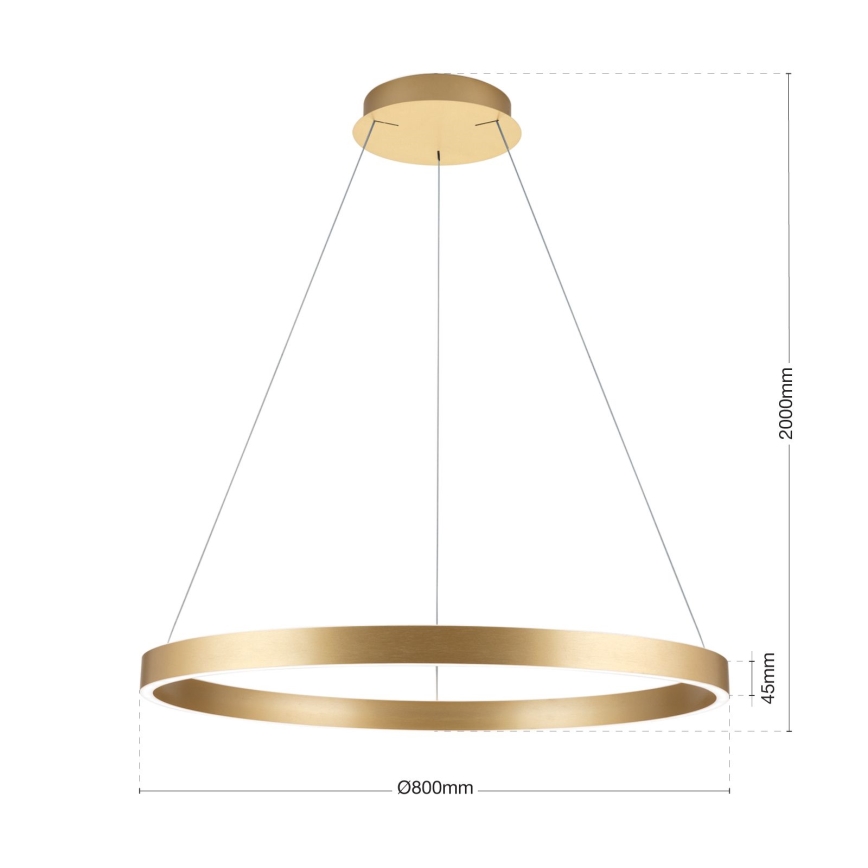 LED Stmievateľný luster na lane KOLK LED/80W/230V 2700/3000/4000K priemer 80 cm zlatá