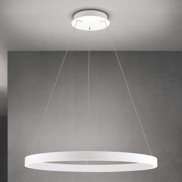 Orion - Stmievateľný LED závesný luster na lane KOLK LED/80W/230V 2700/3000/4000K pr. 80 cm biela