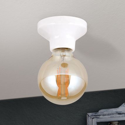 Stropné svietidlo FROST 1xE27/60W/230V biela