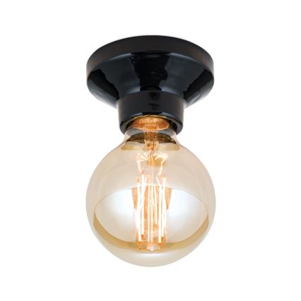 Stropné svietidlo FROST 1xE27/60W/230V čierne