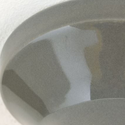 Stropné svietidlo FROST 1xE27/60W/230V sivé