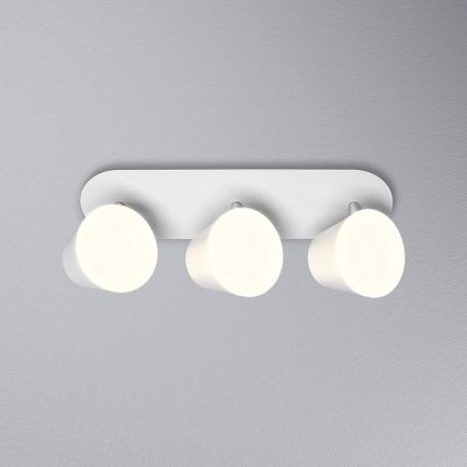 Osram - LED bodové svietidlo SPOT do kúpeľne 3xLED/7W/230V IP44 3000/4000K