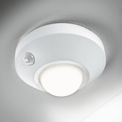 Osram - LED orientačné svietidlo so senzorom NIGHTLUX LED/2W/3xAA biela