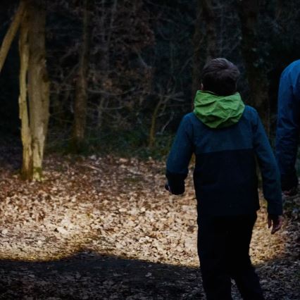 Osram - Stlmiteľná LED baterka LEDINSPECT TORCH 450 ESSENTIAL LED/6W/3xAAA IP44