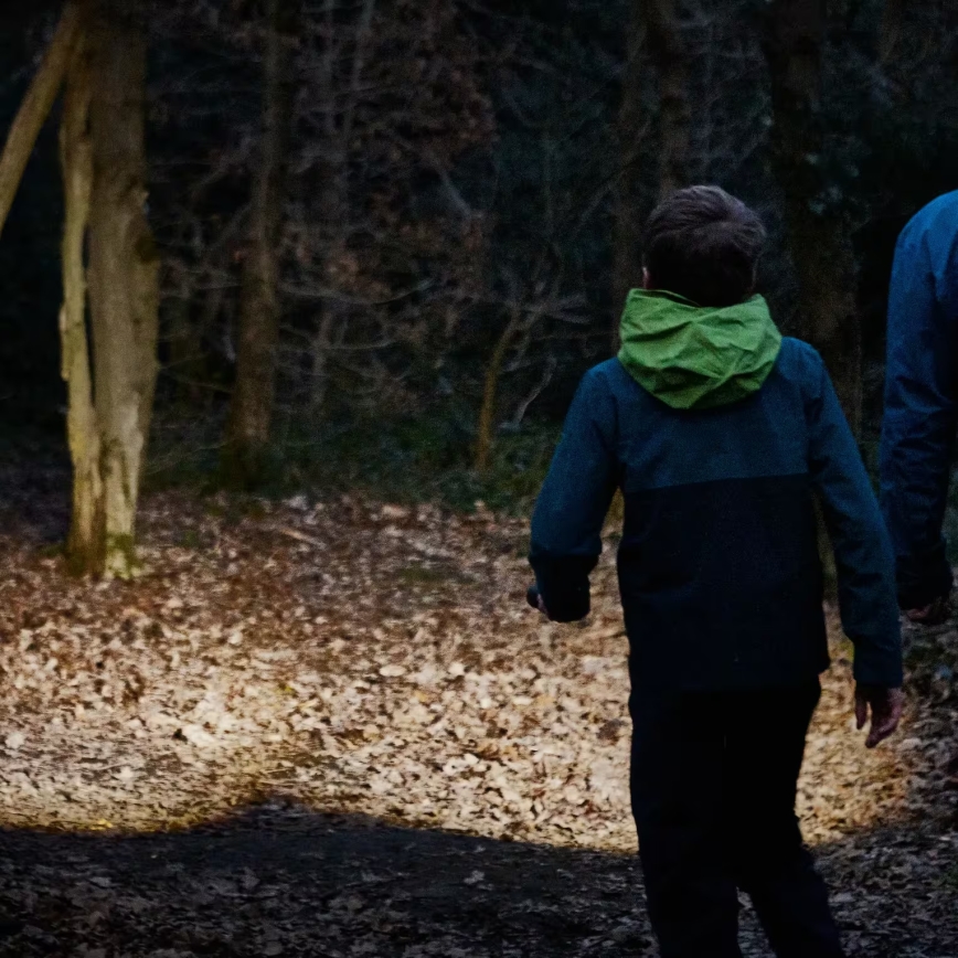 Osram - Stlmiteľná LED baterka LEDINSPECT TORCH 450 ESSENTIAL LED/6W/3xAAA IP44