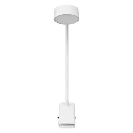 Osram - LED stlmiteľná stolná lampa so svorkou OFFICE LINE LED/4,8W/230V 3000/4000/6500K biela