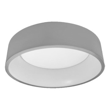 Osram - LED Stmievateľné stropné svietidlo SMART+ CYLINDER LED/24W/230V 3000K-6500K Wi-Fi