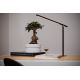 Osram - LED Stolná lampa PANAN 1xLED/5W/230V