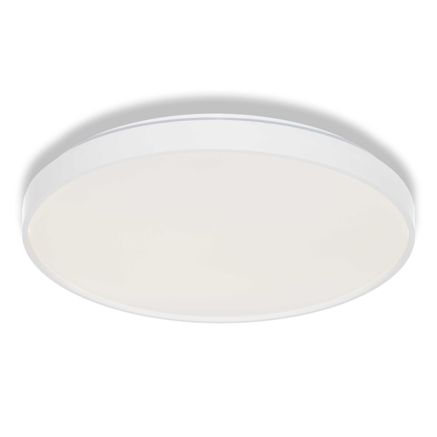 Osram - LED stropné svietidlo CEILING LUXO LED/36 W/230 V, priemer 49 cm, biela