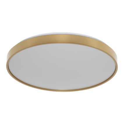 Osram - LED stropné svietidlo CEILING LUXO LED/36W/230V priemer 49 cm zlaté