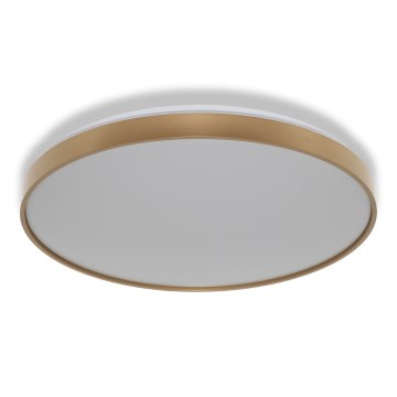 Osram - LED stropné svietidlo CEILING LUXO LED/60W/230V pr. 56 cm zlaté