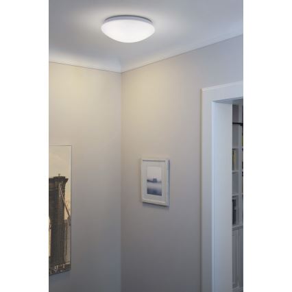 Osram - LED Stropné svietidlo ESSENTIAL LED/13W/230V 6500K pr. 25 cm