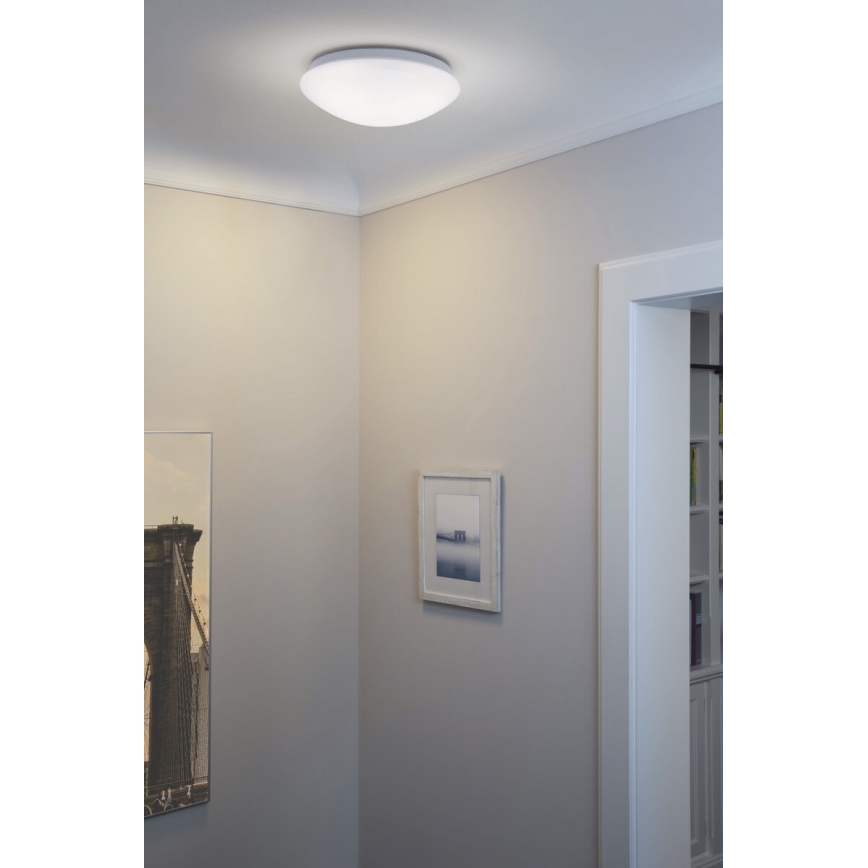 Osram - LED Stropné svietidlo ESSENTIAL LED/13W/230V 6500K pr. 25 cm