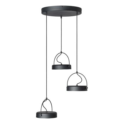 Osram - LED závesné svietidlo na lankách DECOR PUCK 3xLED/12W/230V CRI 90 čierne