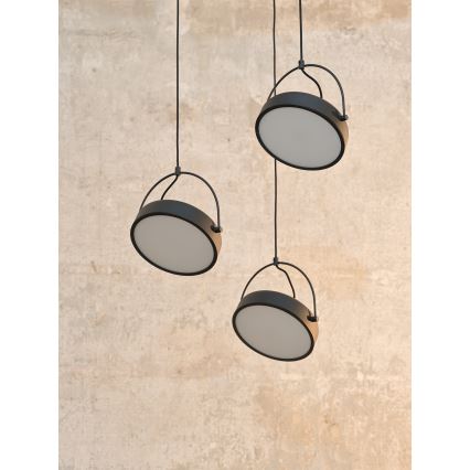 Osram - LED závesné svietidlo na lanku DECOR PUCK 3xLED/12W/230V čierna