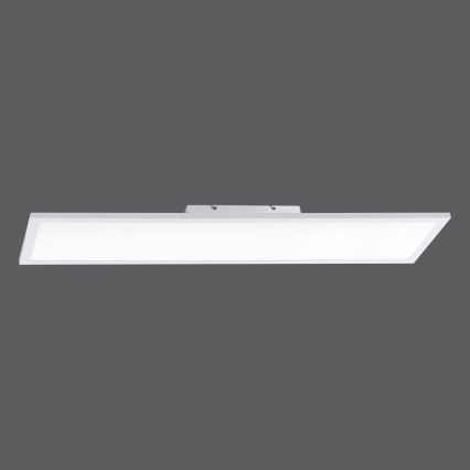 Paul Neuhaus 16533-16-O - LED Stmievateľný prisadený panel  FLAT LED/24W/230V 2700-5000K biela + diaľkové ovládanie