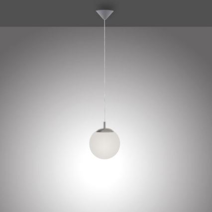 Paul Neuhaus 2072-55 - Luster na lanku BOLO 1xE27/60W/230V pr. 20 cm