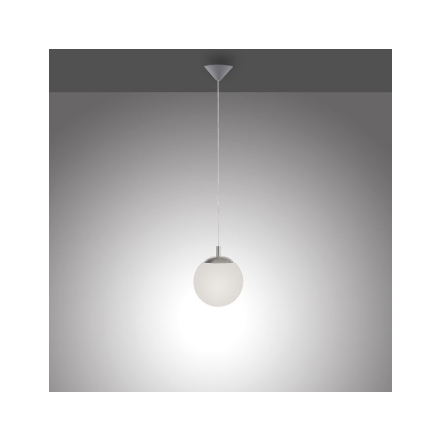 Paul Neuhaus 2072-55 - Luster na lanku BOLO 1xE27/60W/230V pr. 20 cm