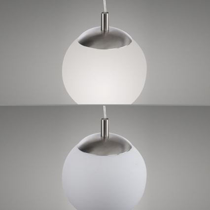 Paul Neuhaus 2072-55 - Luster na lanku BOLO 1xE27/60W/230V pr. 20 cm