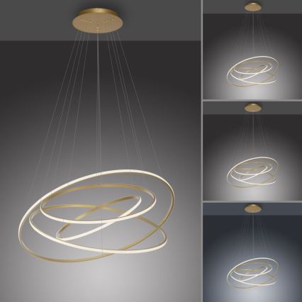 Paul Neuhaus 2124-60 - LED Stmievateľný luster na lanku TESSARA LED/97W/230V 2700-5000K + diaľkové ovládanie