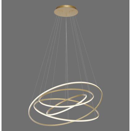 Paul Neuhaus 2124-60 - LED Stmievateľný luster na lanku TESSARA LED/97W/230V 2700-5000K + diaľkové ovládanie