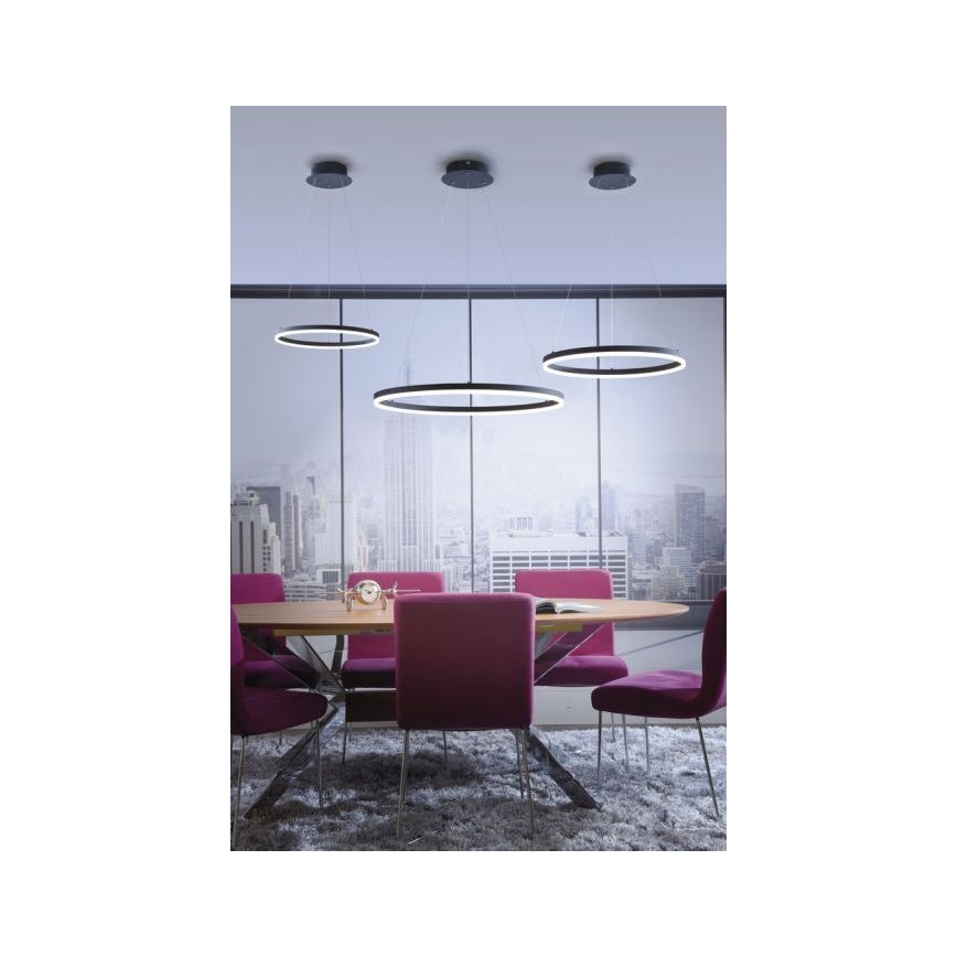 Paul Neuhaus 2382-13 - LED Stmievateľný luster na lanku TITUS LED/38,5W/230V