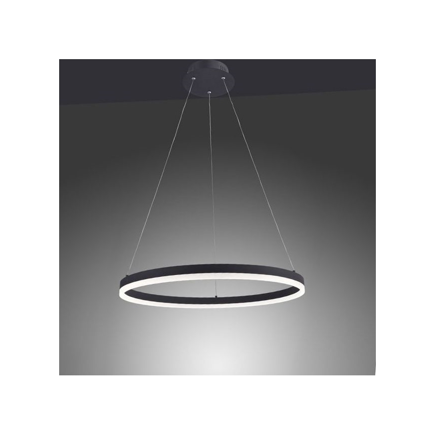 Paul Neuhaus 2382-13 - LED Stmievateľný luster na lanku TITUS LED/38,5W/230V
