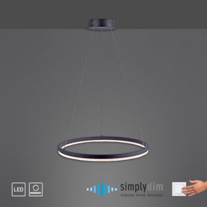 Paul Neuhaus 2382-13 - LED Stmievateľný luster na lanku TITUS LED/38,5W/230V