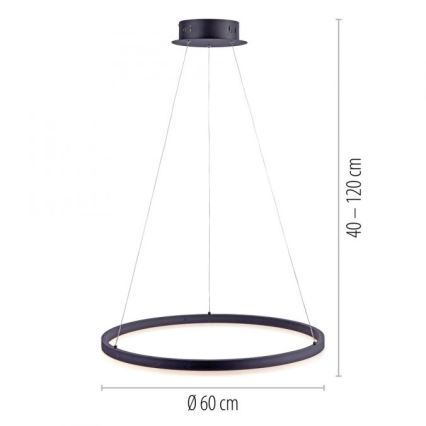 Paul Neuhaus 2382-13 - LED Stmievateľný luster na lanku TITUS LED/38,5W/230V