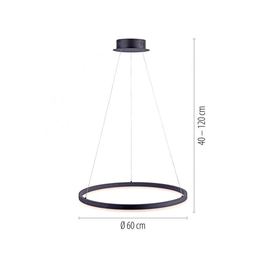 Paul Neuhaus 2382-13 - LED Stmievateľný luster na lanku TITUS LED/38,5W/230V
