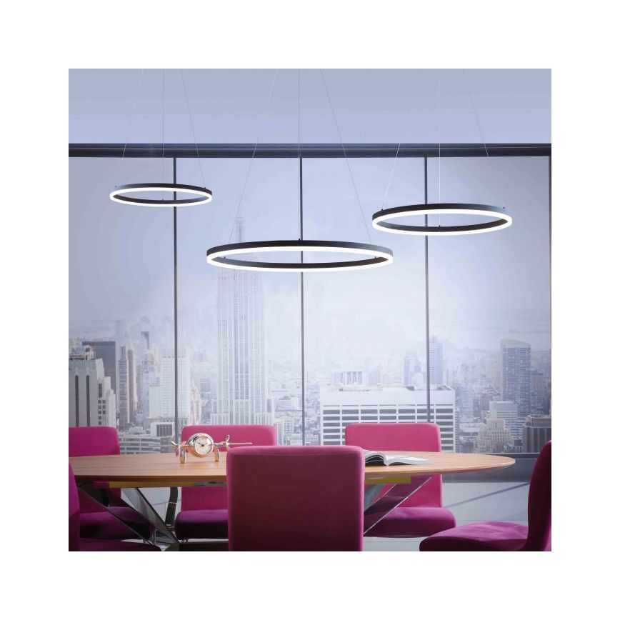 Paul Neuhaus 2383-13 - LED Stmievateľný luster na lanku TITUS LED/50W/230V