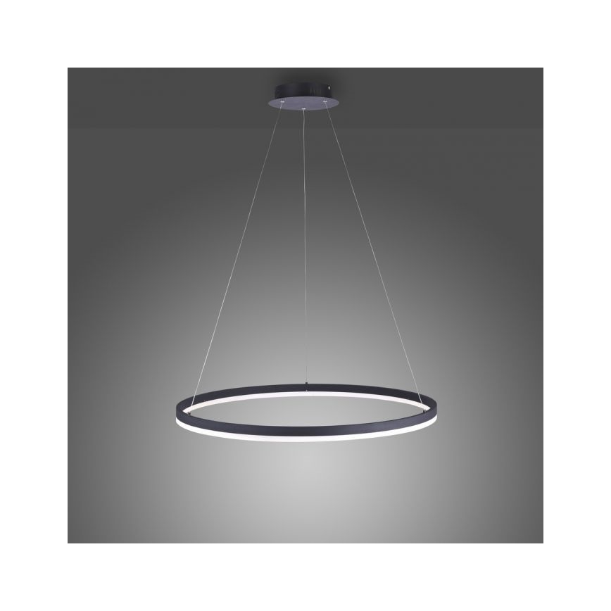 Paul Neuhaus 2383-13 - LED Stmievateľný luster na lanku TITUS LED/50W/230V