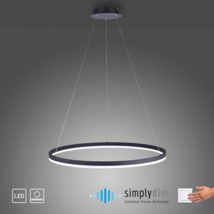 Paul Neuhaus 2383-13 - LED Stmievateľný luster na lanku TITUS LED/50W/230V