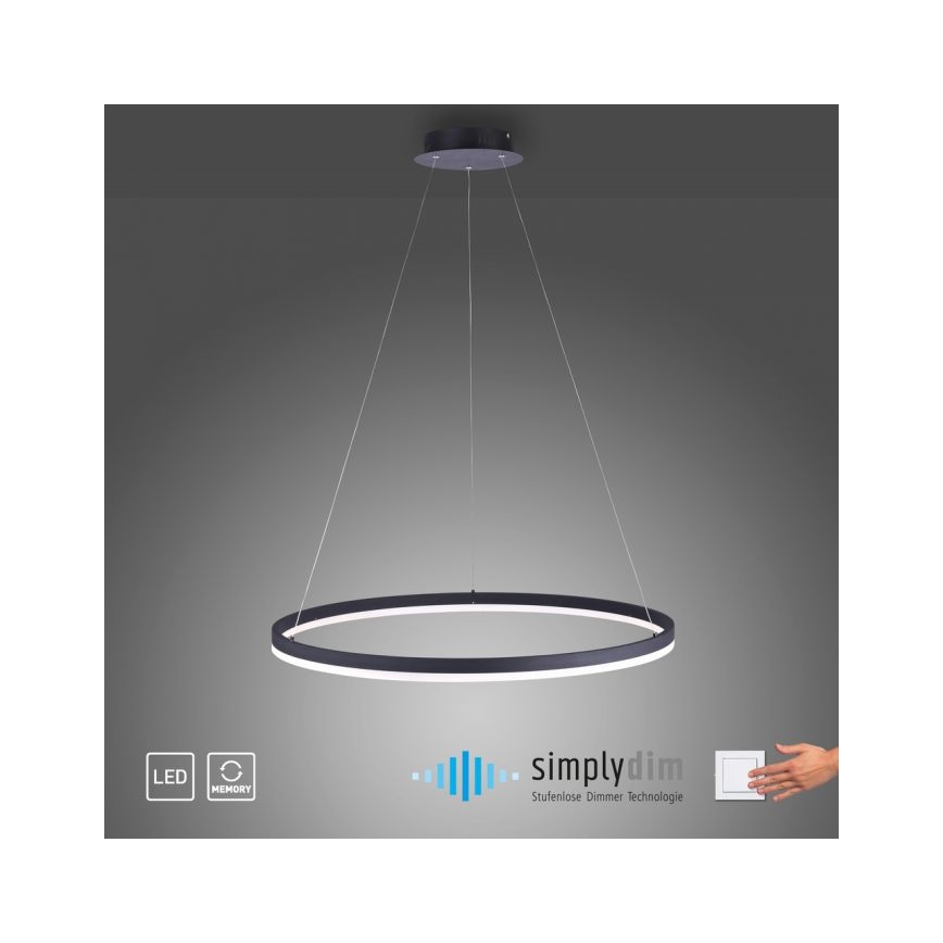 Paul Neuhaus 2383-13 - LED Stmievateľný luster na lanku TITUS LED/50W/230V