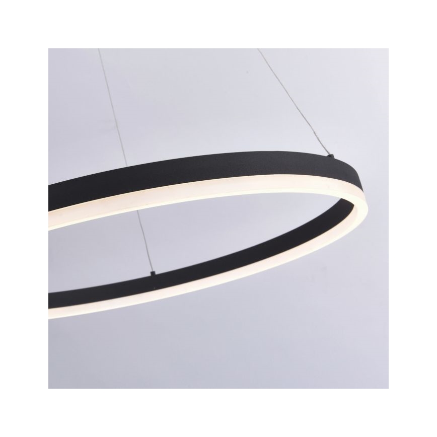 Paul Neuhaus 2383-13 - LED Stmievateľný luster na lanku TITUS LED/50W/230V